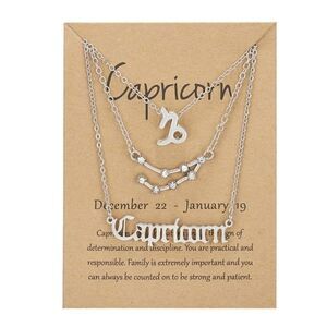 2/$21 Silver Capricorn Triple Birth Constellation Necklace